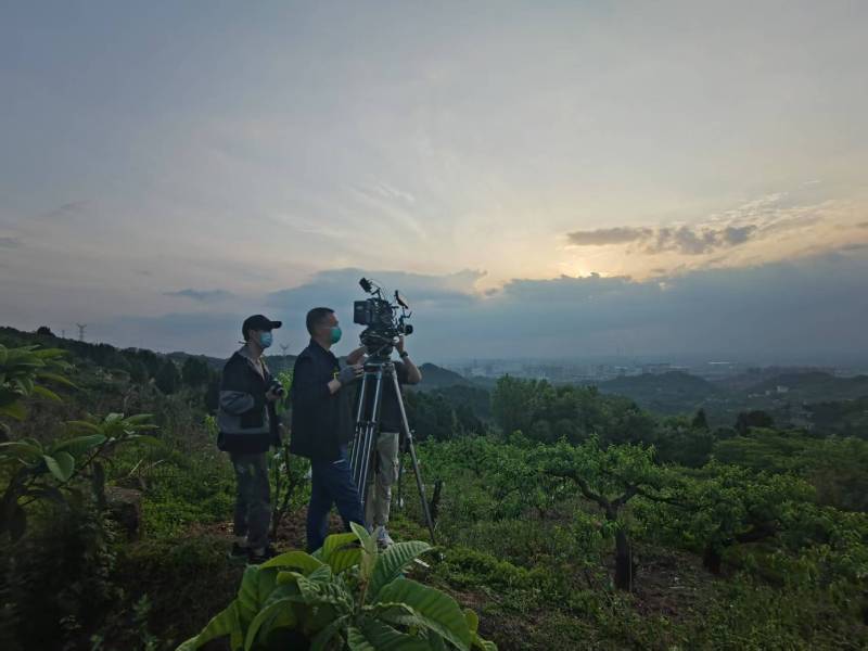 创意破圈！黄南电商产品宣传视频用故事化叙事引爆流量