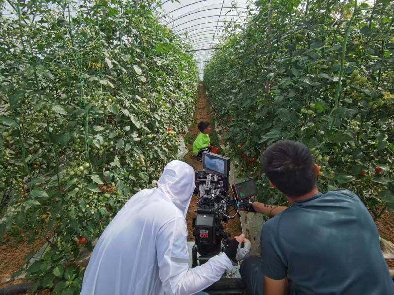 黄南产品宣传视频拍摄公司进阶指南，助力品牌抢占传播高地